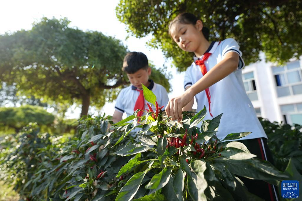保时捷平台下载
